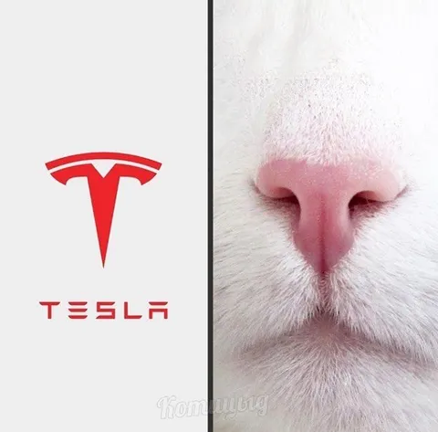Кошачий логотип Tesla