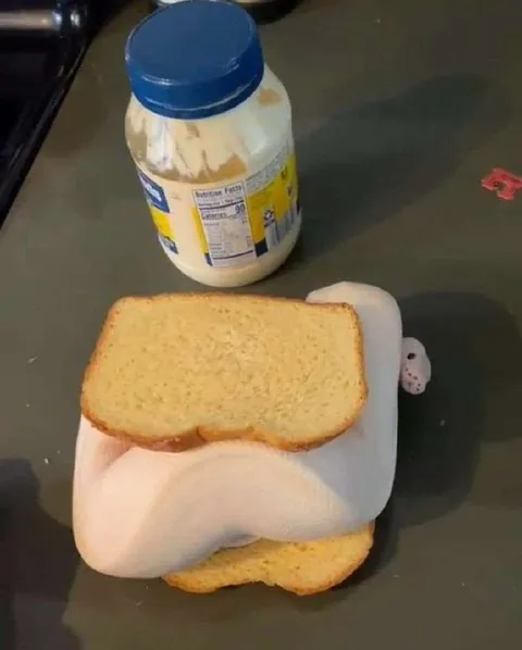 Cat Sandwich Preparation