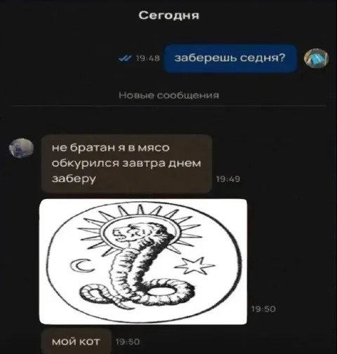 Мой кот после обещания забрать мясо