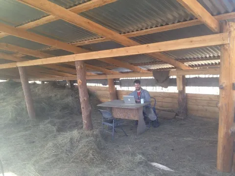Удалёнка в сенном сарае