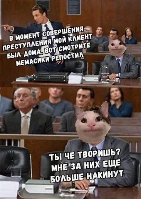 Клиент снова репостит мемасики