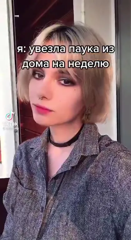 Папа скучает по пауку