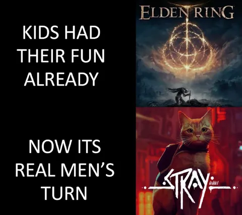 Real Men Play Stray