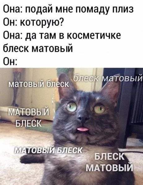 Матовый блеск в косметичке