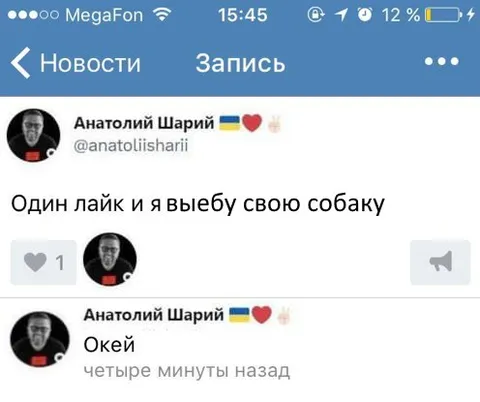 Один лайк и собака