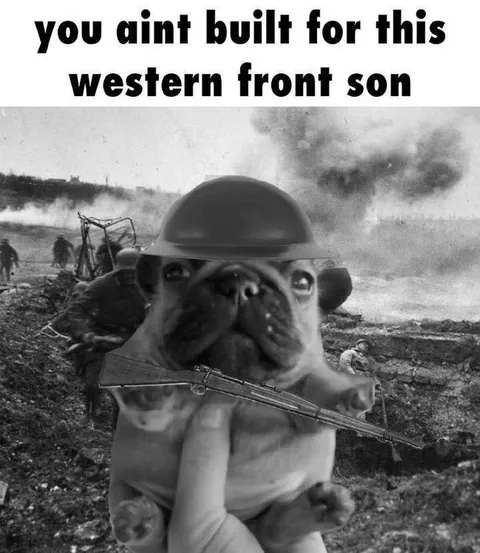 Dog on the Western Front