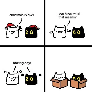 Cats Celebrate Boxing Day