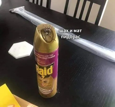 Шах и мат пауку