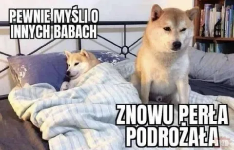 Pewnie myśli o innych babach