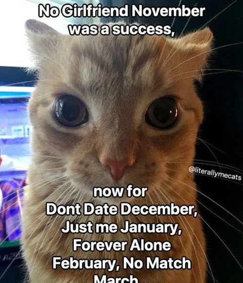 No Girlfriend November Cat