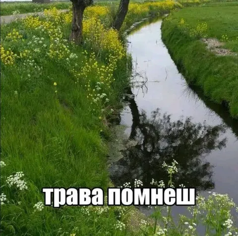 Трава помнешь у ручья