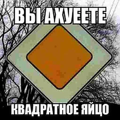 Квадратное яйцо