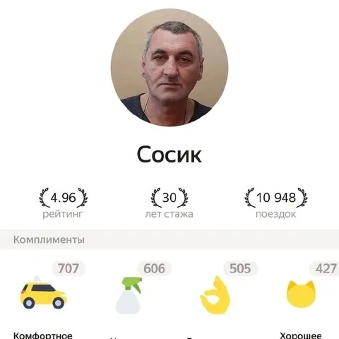 Профиль идеального водителя