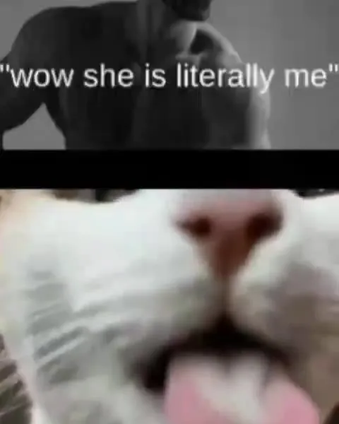Wow She Is Literally Me Cat