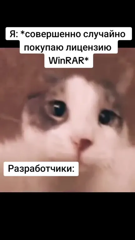 Случайно купил лицензию WinRAR