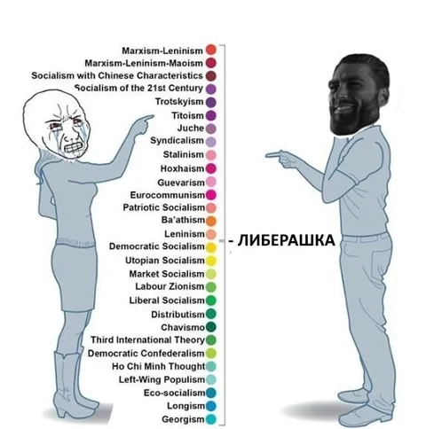 Либерашка среди социалистов