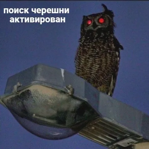Поиск черешни активирован