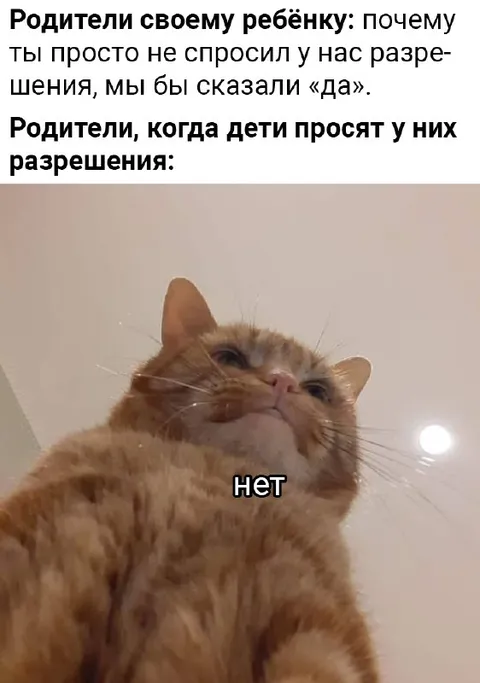 Родители и разрешение