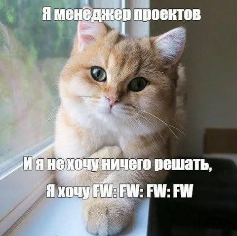 Менеджер проектов не хочет решать