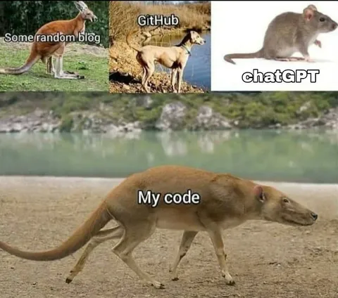 My Code Is a Strange Hybrid