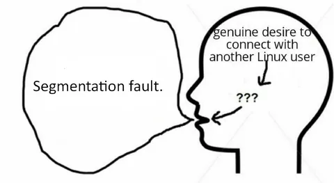 Linux User Connection Segmentation Fault