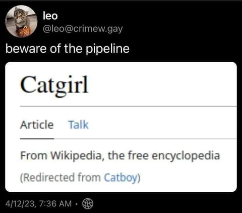 Beware of the Pipeline Catgirl