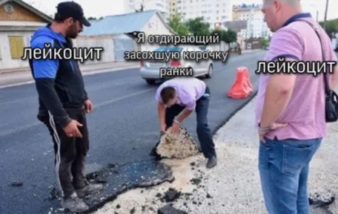 Лейкоцит отдирает корочку