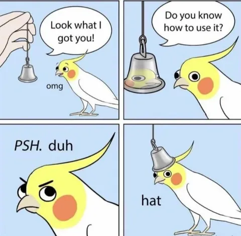 Cockatiel Turns Bell Into Hat