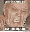 Опять снимаешь, ебучий шакал
