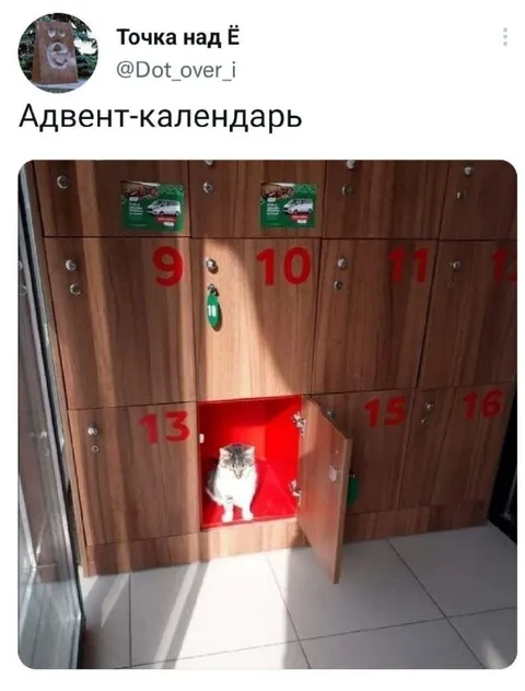 Кот в адвент-календаре