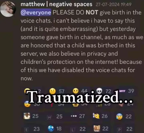 Discord Voice Chat Birth Announcement
