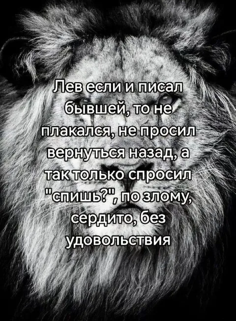 Лев пишет бывшей «спишь?»