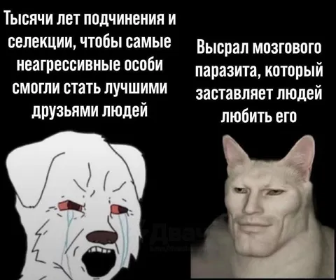 Эволюция друзей человека