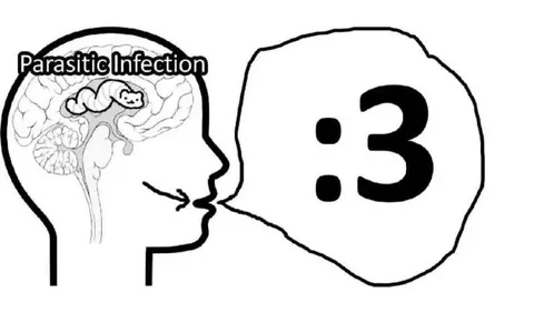 Parasitic Infection Says :3