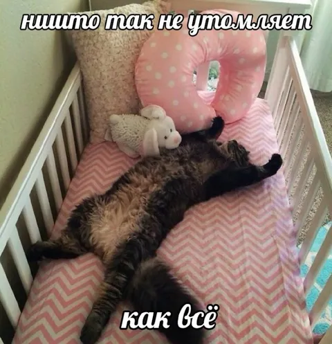 Ничто так не утомляет, как всё