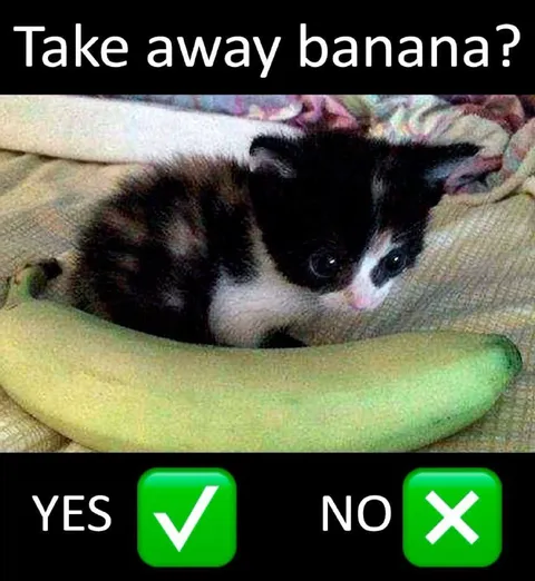 Take Away Banana Cat