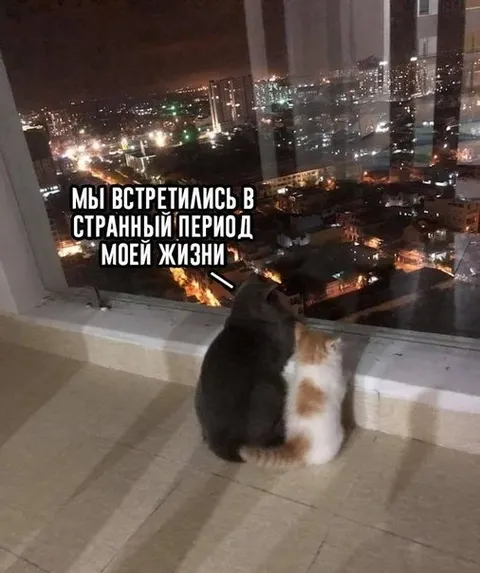 Мы встретились в странный период