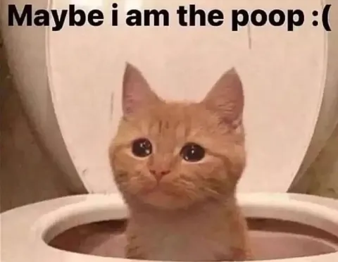 Maybe I Am the Poop Cat