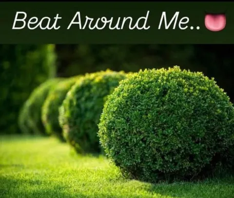 Beat Around Me Bush Pun