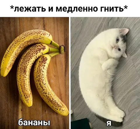 Лежать и медленно гнить