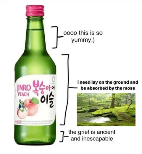 Peach Soju and Ancient Grief