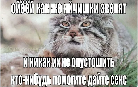 Яички звенят и не опустошить