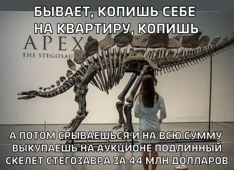 Купил скелет стегозавра вместо квартиры