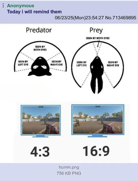 Predator and Prey Vision Comparison