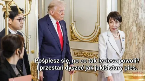 Pośpiesz się, stary psie