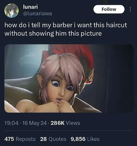 Show Barber This Haircut