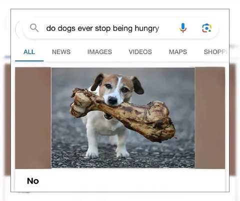 Do Dogs Ever Stop Being Hungry
