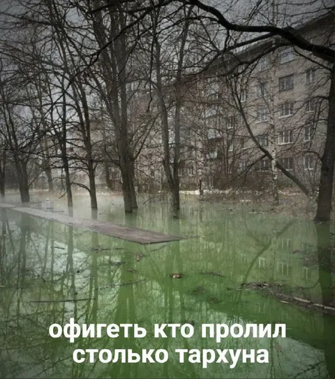 Кто пролил столько тархуна