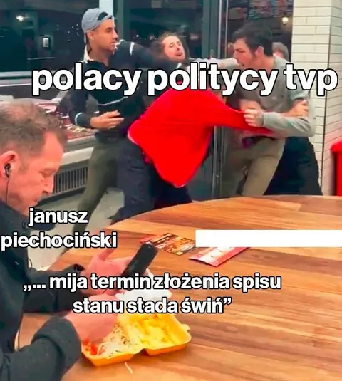 Polacy politycy TVP i stado świń