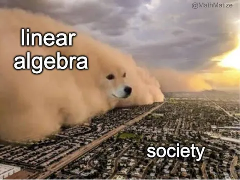 Linear Algebra Versus Society